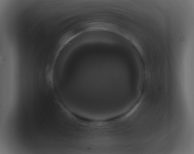 X0000101441529200807071352