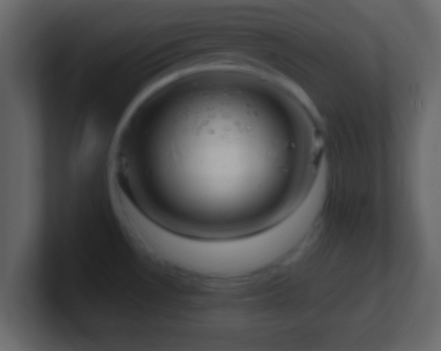 X0000101441530200807071352