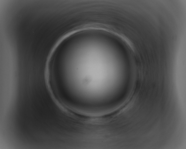 X0000101441531200807071352