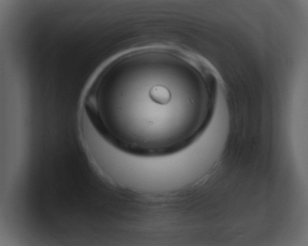 X0000101441532200807071352