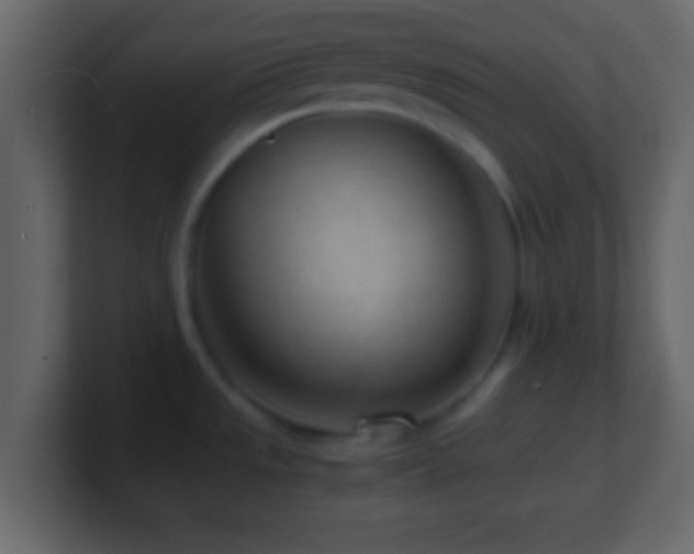 X0000101441533200807071352