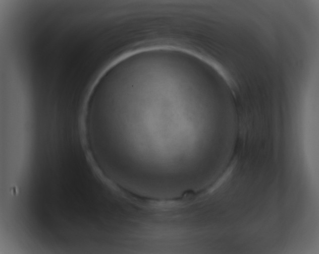 X0000101441534200807071352