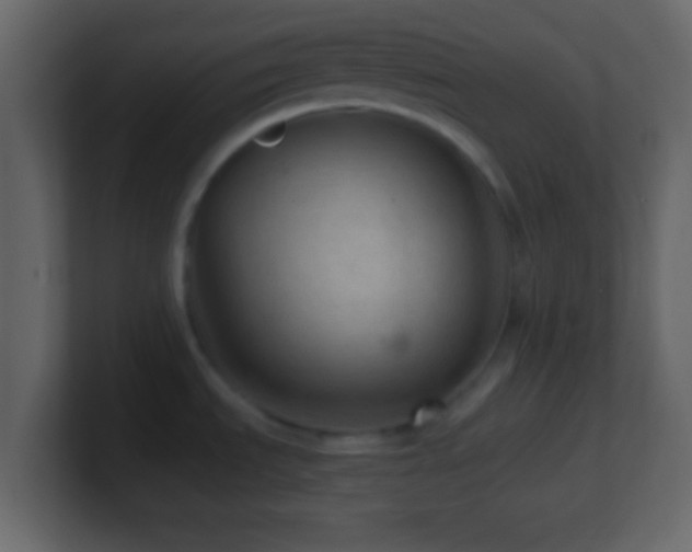 X0000101441535200807071352