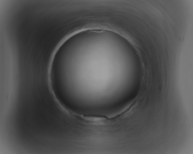 X0000101441536200807071352