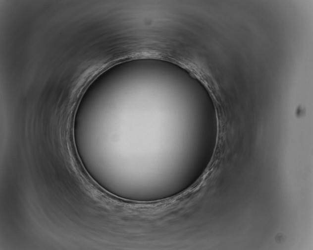 X0000101440001200807141317