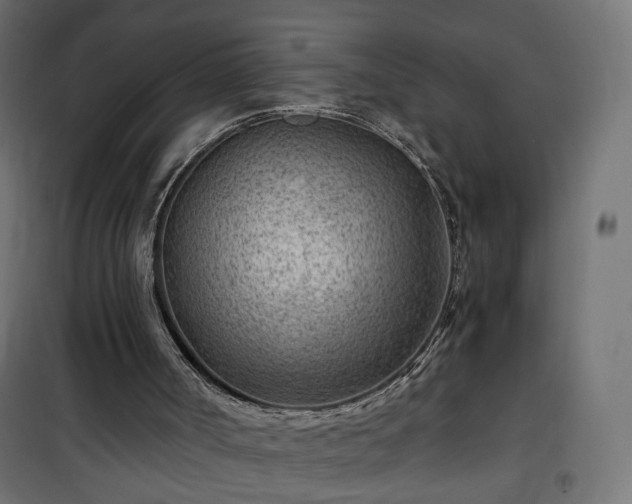 X0000101440002200807141317