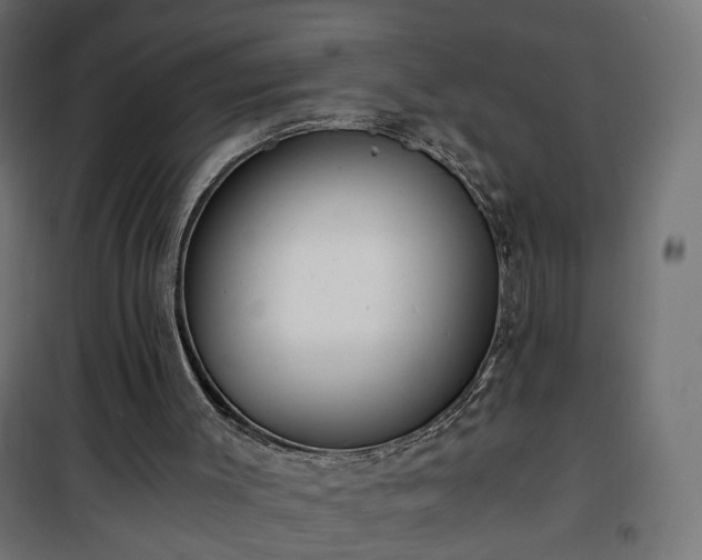 X0000101440003200807141317