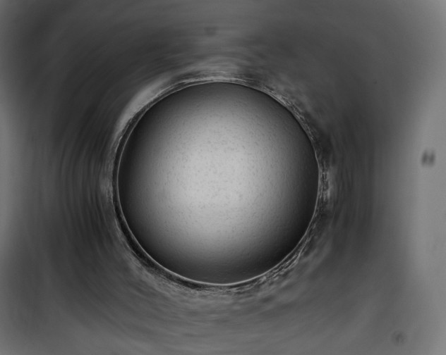 X0000101440004200807141317