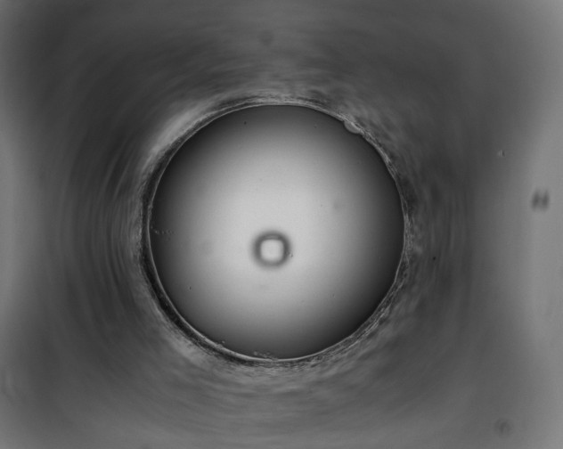 X0000101440005200807141317