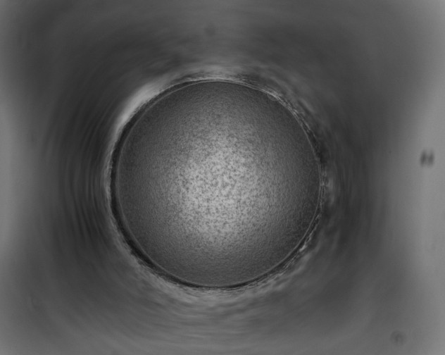 X0000101440006200807141317