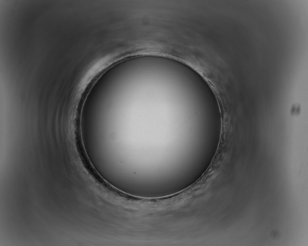 X0000101440007200807141317