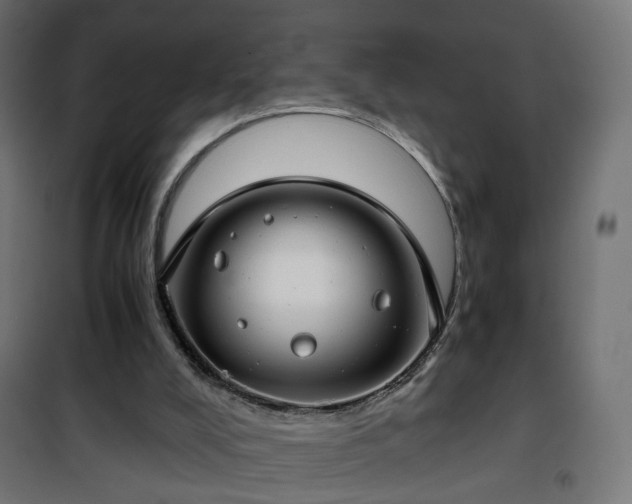 X0000101440008200807141317