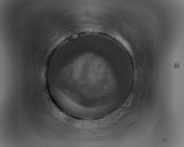 X0000101440009200807141317