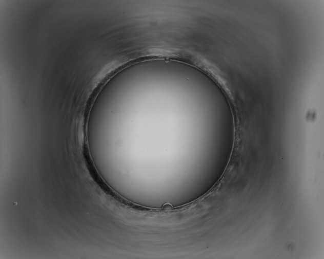 X0000101440011200807141317