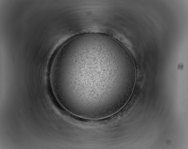 X0000101440012200807141317