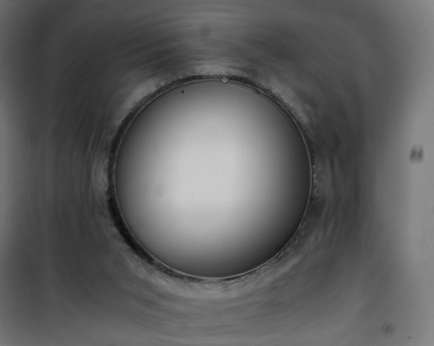 X0000101440015200807141317