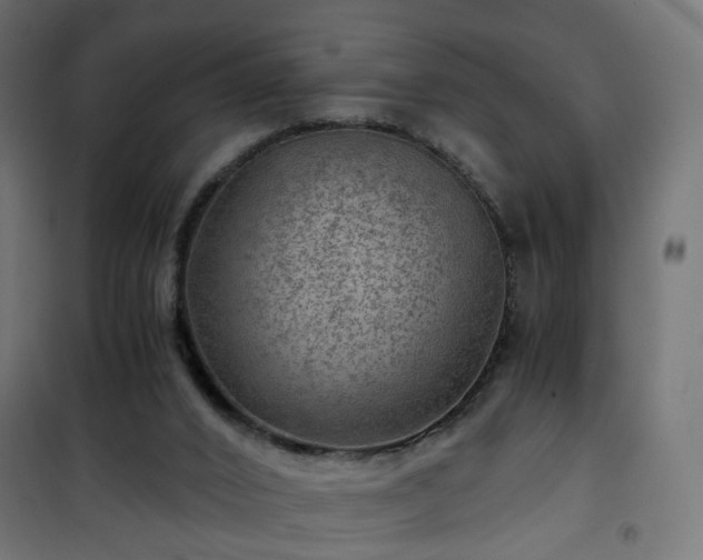 X0000101440016200807141317