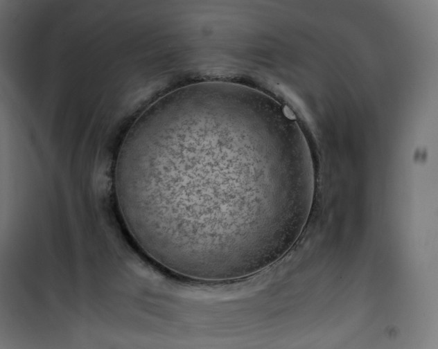 X0000101440017200807141317