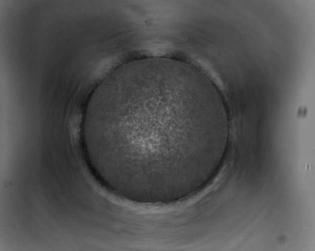 X0000101440018200807141317