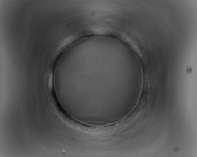 X0000101440019200807141317