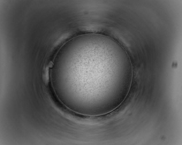 X0000101440020200807141317