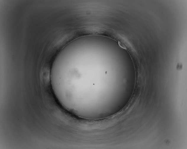 X0000101440021200807141317