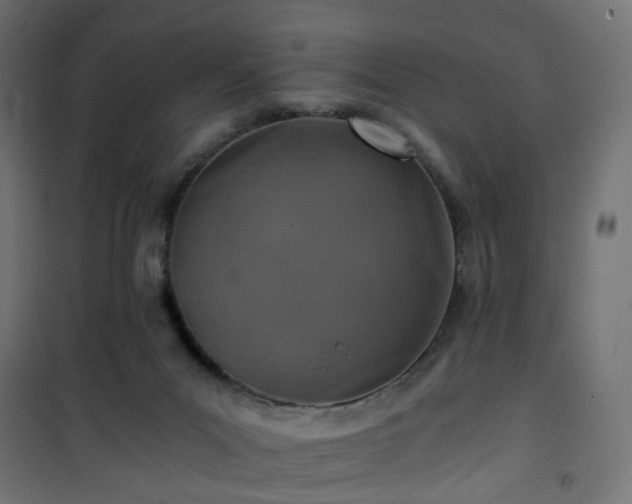 X0000101440023200807141317