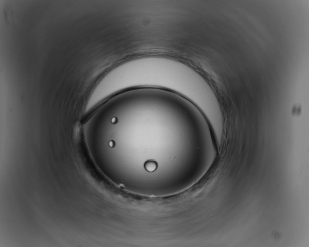 X0000101440024200807141317