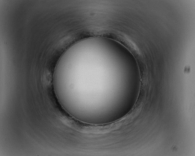 X0000101440025200807141317