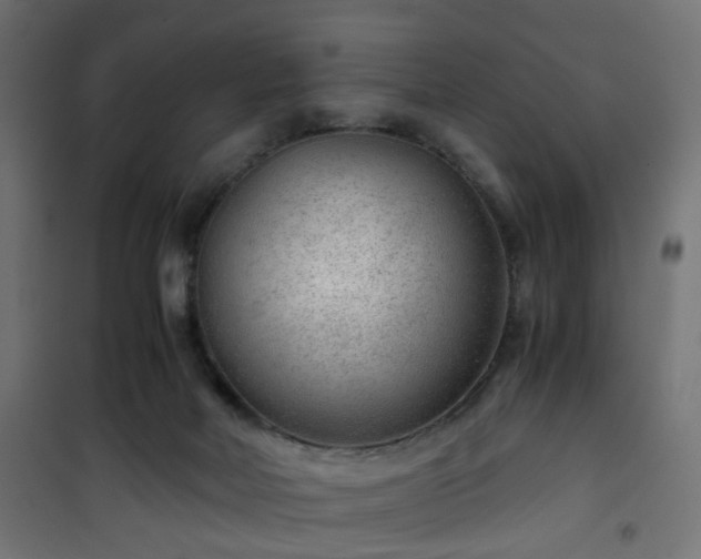 X0000101440026200807141317