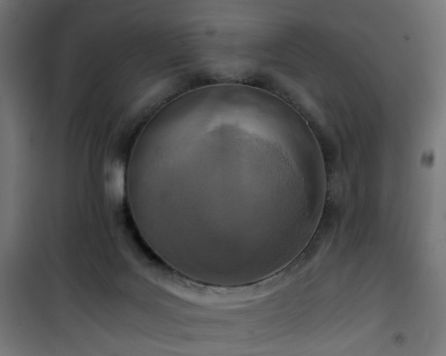 X0000101440027200807141317