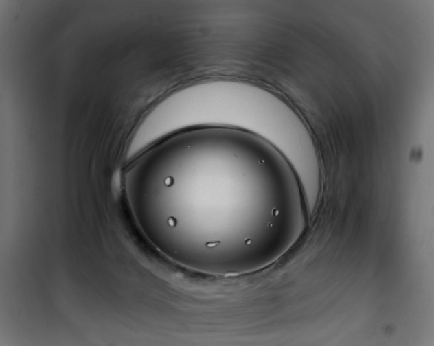 X0000101440028200807141317