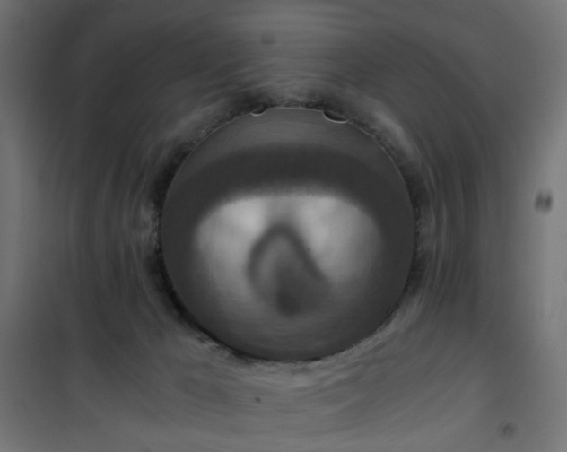 X0000101440029200807141317