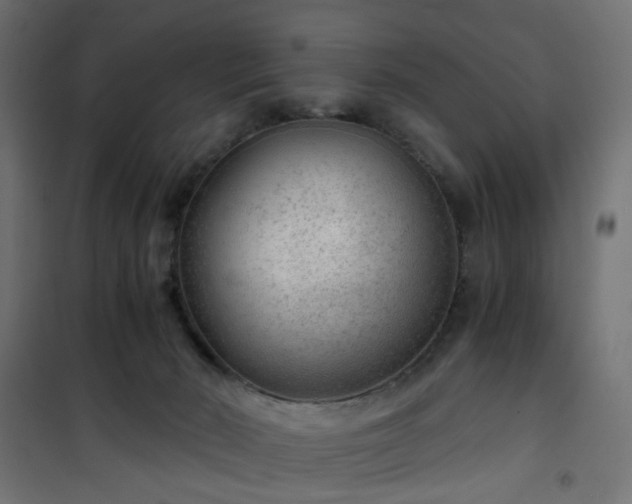 X0000101440030200807141317