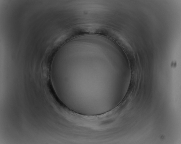 X0000101440031200807141317