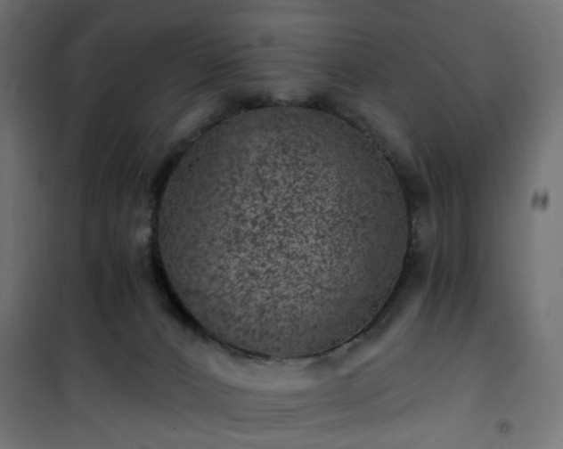 X0000101440032200807141317