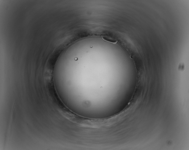 X0000101440033200807141317