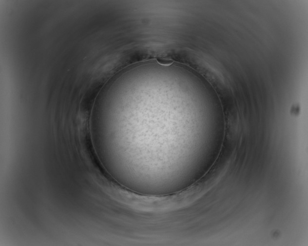 X0000101440034200807141317