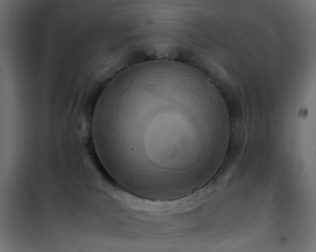 X0000101440039200807141317