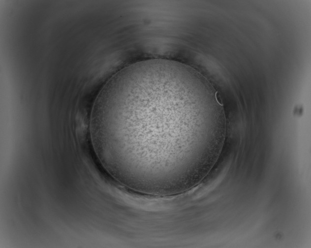 X0000101440040200807141317