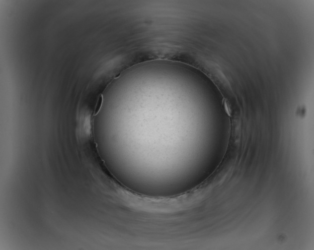 X0000101440042200807141317