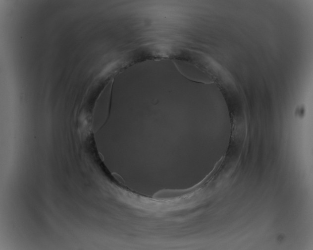 X0000101440043200807141317