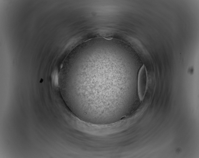 X0000101440046200807141317