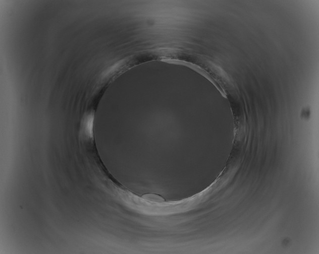 X0000101440047200807141317