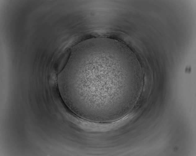 X0000101440048200807141317