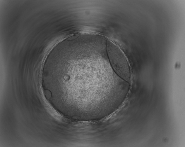 X0000101440049200807141316