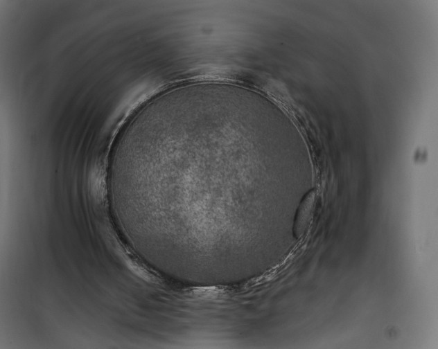 X0000101440050200807141316