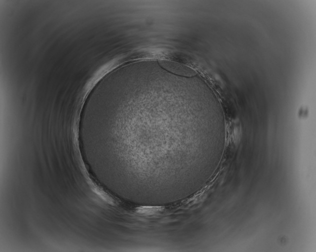 X0000101440051200807141316