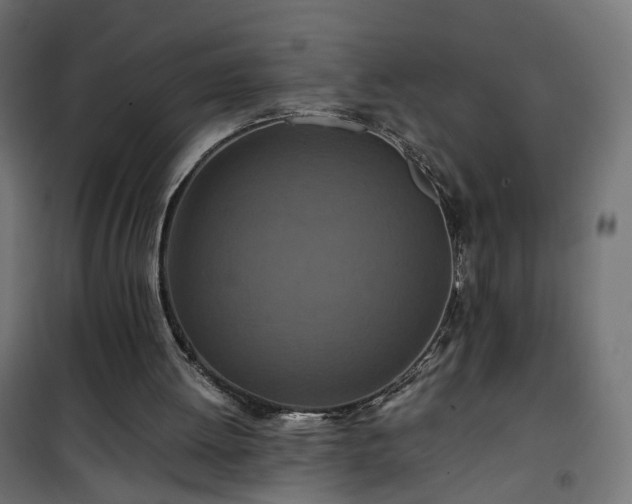 X0000101440052200807141316