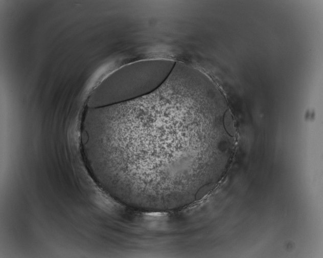 X0000101440053200807141316